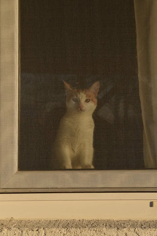 Tela inadequada para proteção de gatos