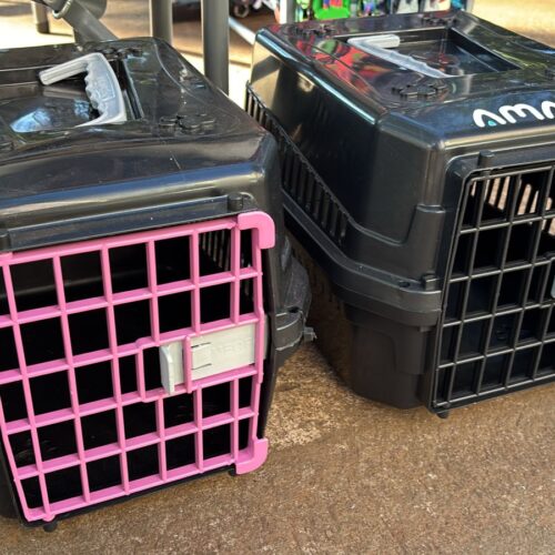 ✈️ Caixas de Transporte Seguras e Confortáveis para Cães e Gatos | Ajude Nossos Animais! 💖
